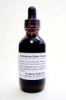 Echinacea Original Concentrate